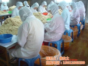 蝦皮姐姐貨源探秘 越秀區(qū)富華海產品加工廠批發(fā)銷售全攻略