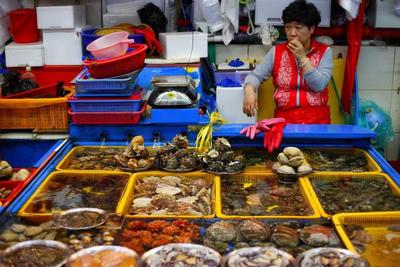 “魚(yú)去人空” 韓國(guó)海鮮市場(chǎng)遇冷，漁民憂心“飯碗”不保