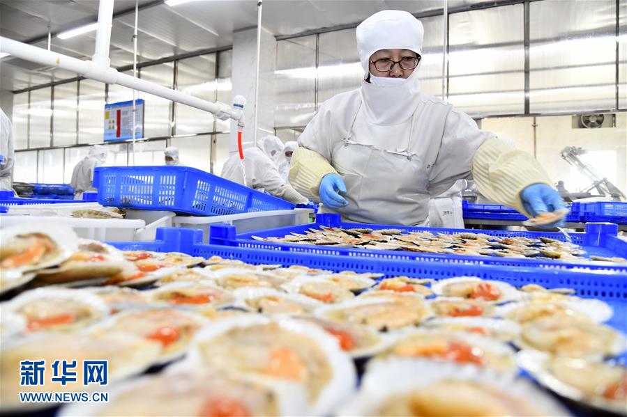 積極發(fā)展海洋食品加工產(chǎn)業(yè)，構(gòu)建全產(chǎn)業(yè)鏈協(xié)同發(fā)展新格局