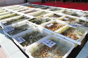 南澳海鮮餐廳推新模式 取消加工費(fèi)，強(qiáng)化銷售品質(zhì)承諾